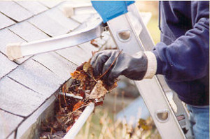 clogged rain gutter