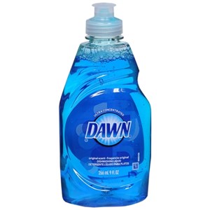 bottle of dawn dish soap