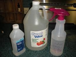 vinegar and alcohol based window cleaner