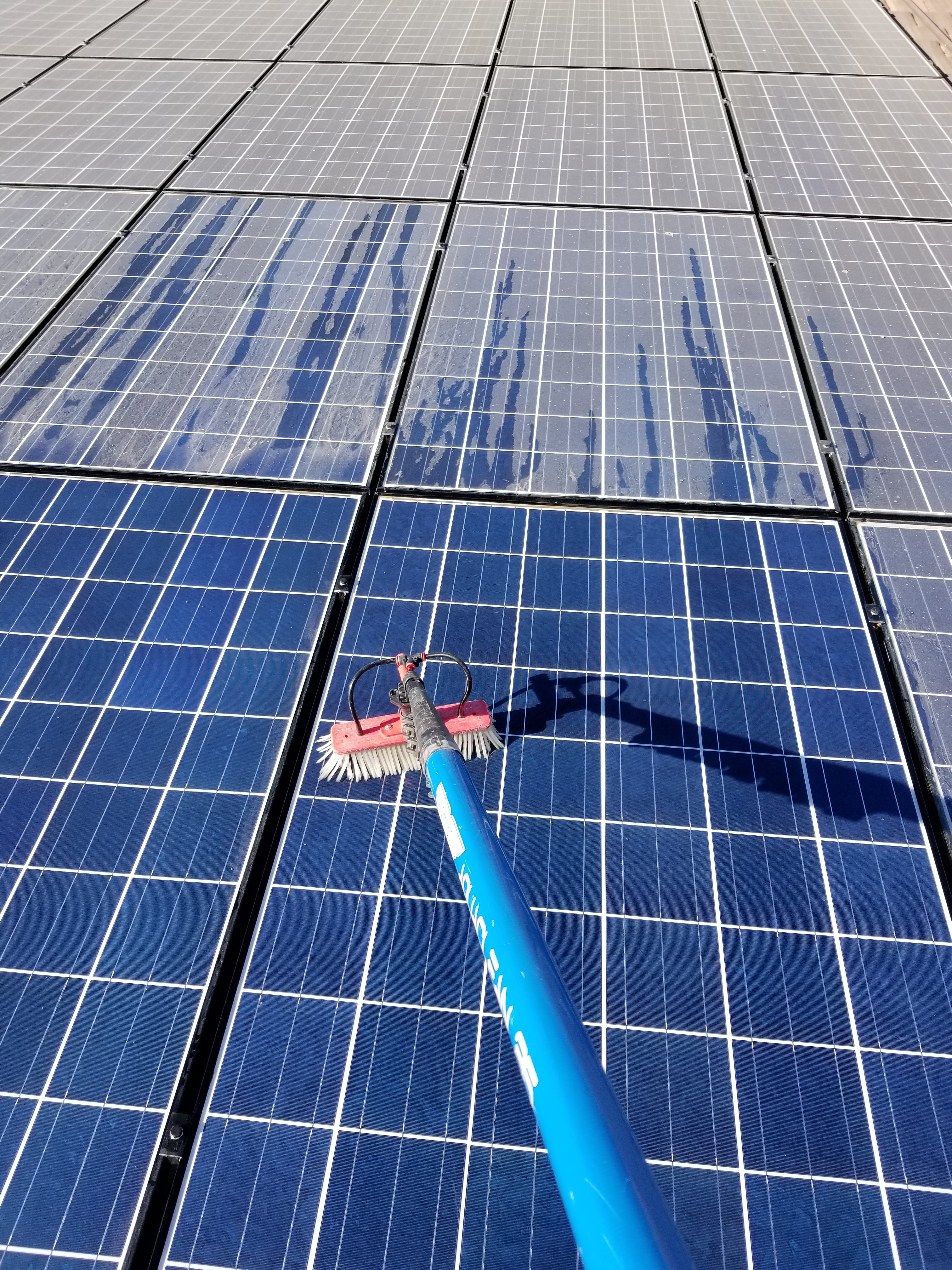 Water Fed Pole Solar Panel Cleaning 