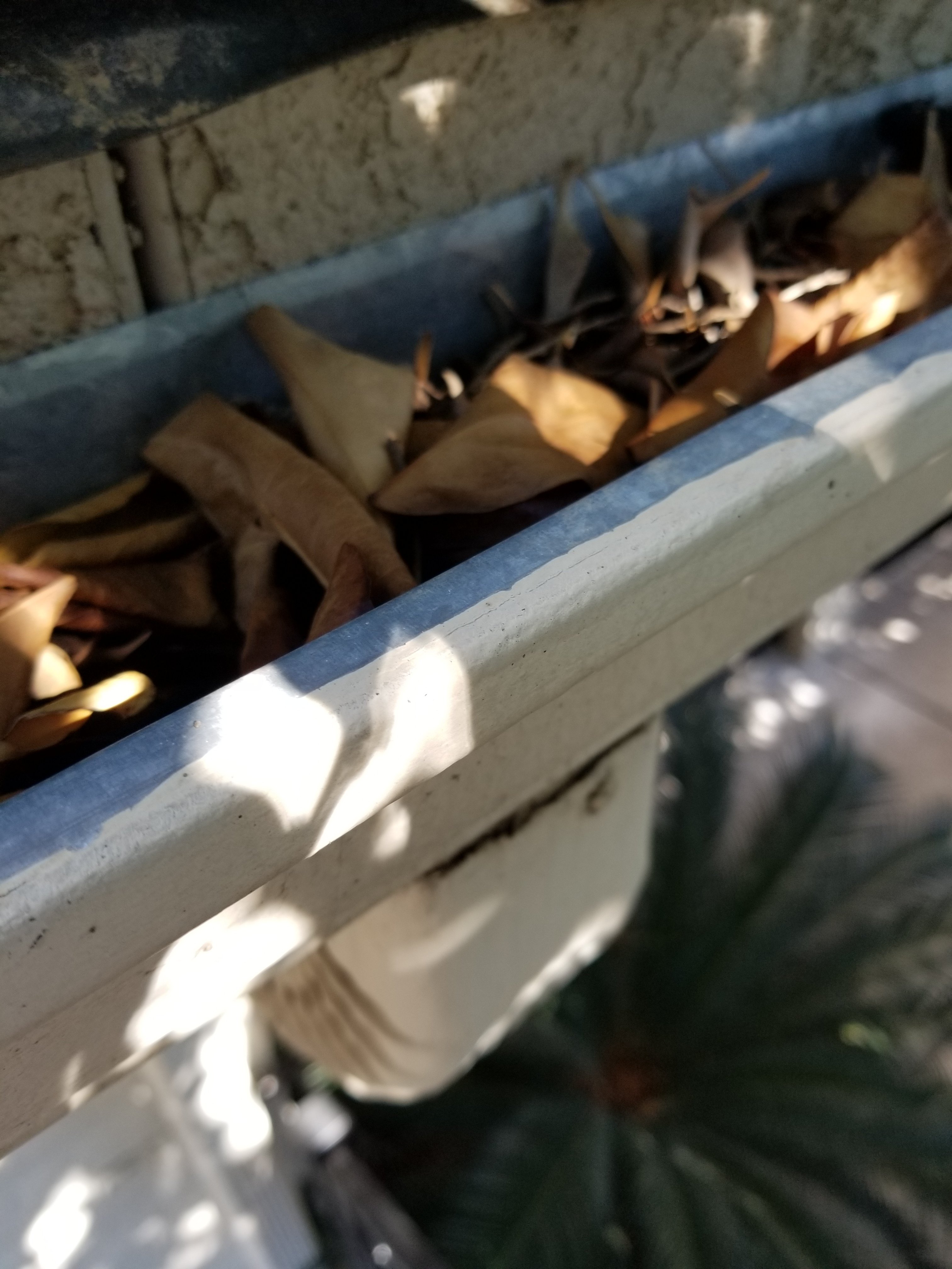Clogged gutters on home in Rancho Mirage, California 