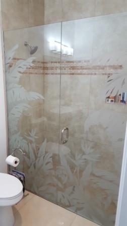 shower door restoration in Palm Springs, California