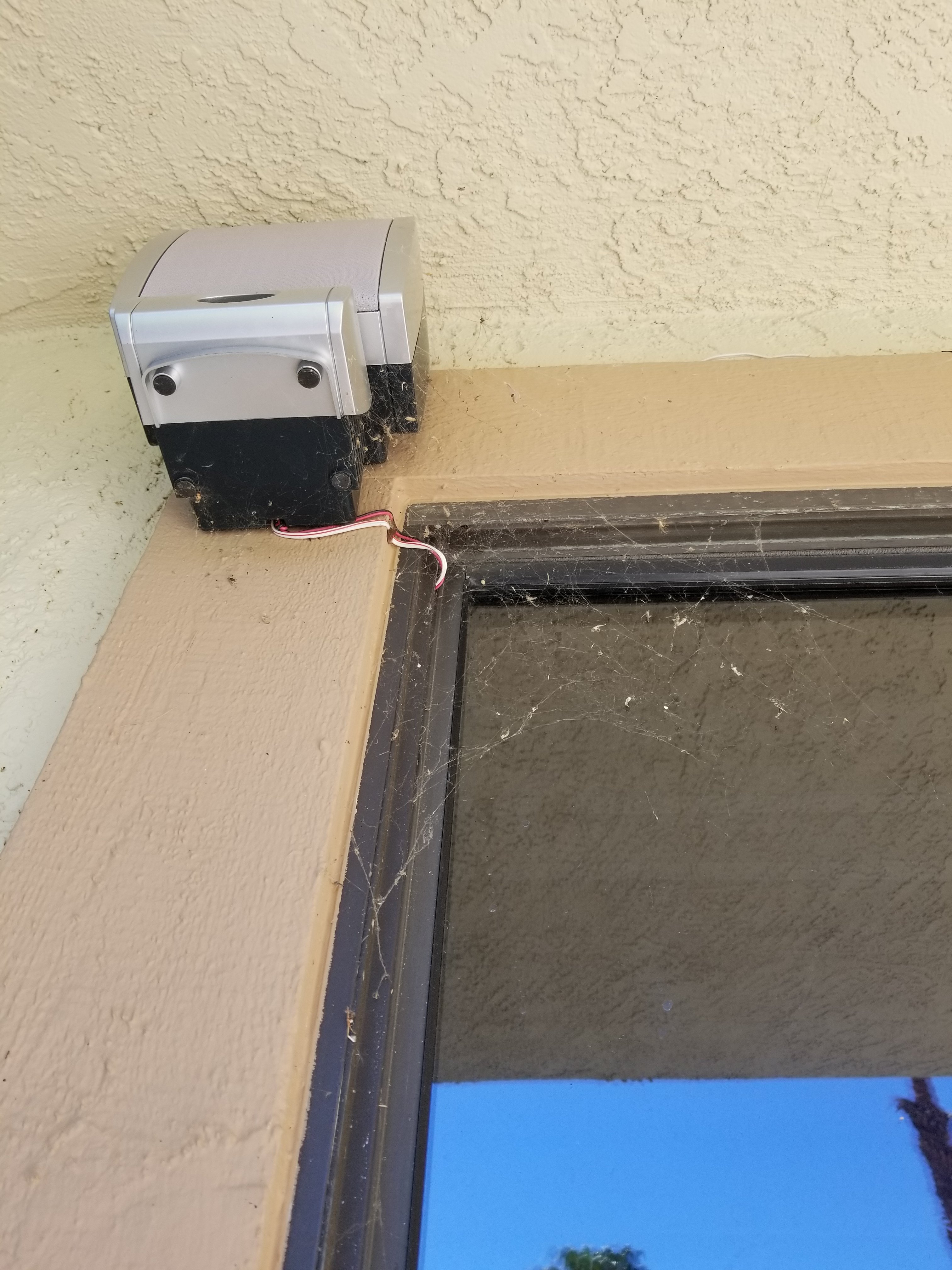 Window screen covered in dirt and webs.