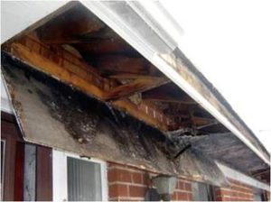rotted fascia from clogged gutters