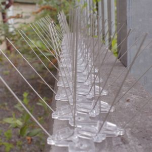 pigeon proofing spikes