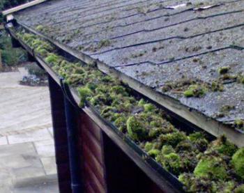 gutter cleaning in Redlands, California